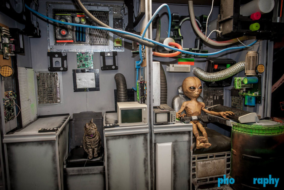 Alien Zone, Area 51 Museum, Cats, NM, New Mexico, Roswell, Tourism, Travel, Traveling with a cat, U.S., USA, United States, animals, leashed cat, on a leash, phoDOGraphy, traveling cat, traveling with cats