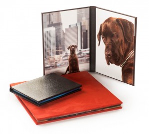Dog Photographer New York City