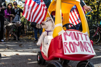 Tomkins Square Park Halloween Dog Parade: costumed dogs and people in