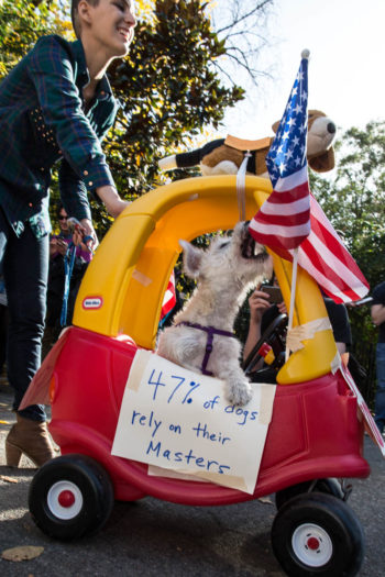 Tomkins Square Park Halloween Dog Parade: costumed dogs and people in